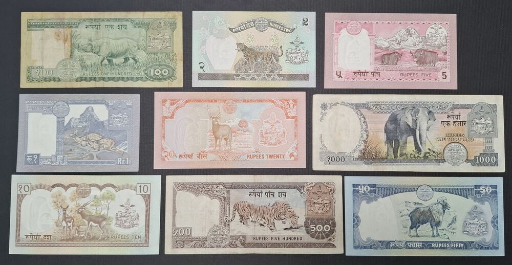 Nepal - Series of 9 notes 1981/2001 - Mixed grades