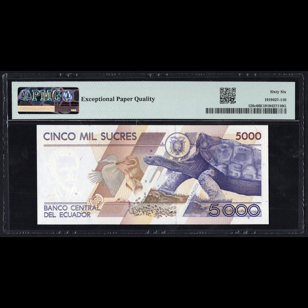 Ecuador - 5.000 Sucres 1996-99 - Pick # 128c - PMG 66 EPQ