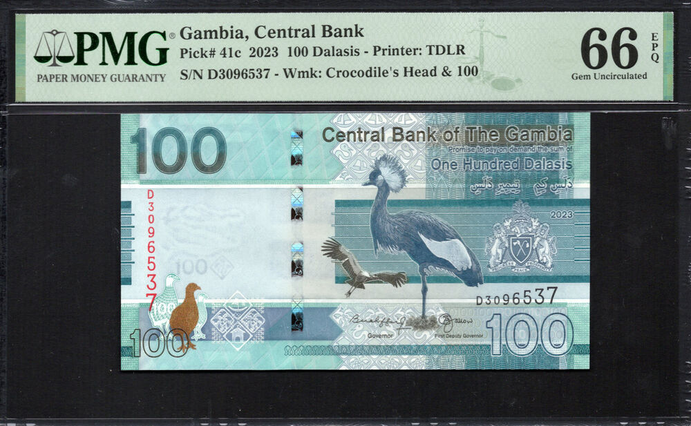 Gambia - 100 Dalasis 2023 - Pick # 41c - PMG 66 EPQ