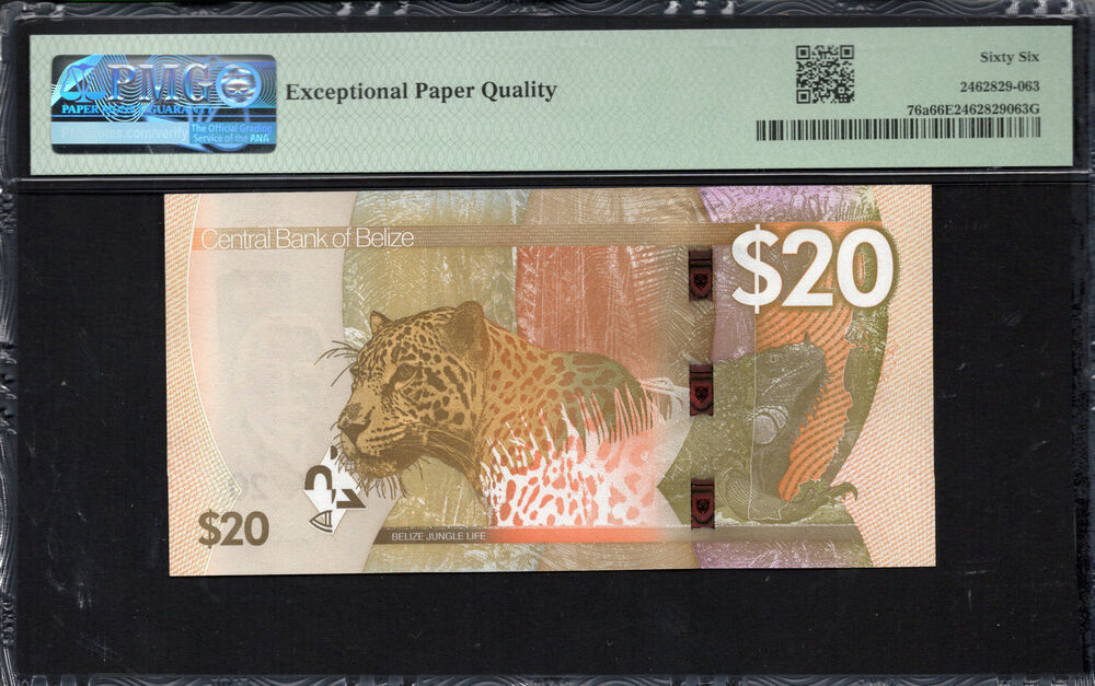 Belize - 20 Dollars 2025 - Pick # 76a - PMG 66 EPQ