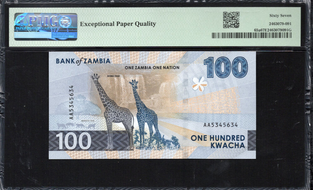 Zambia - 100 Kwacha 2024 - Pick # 65a - PMG 67 EPQ