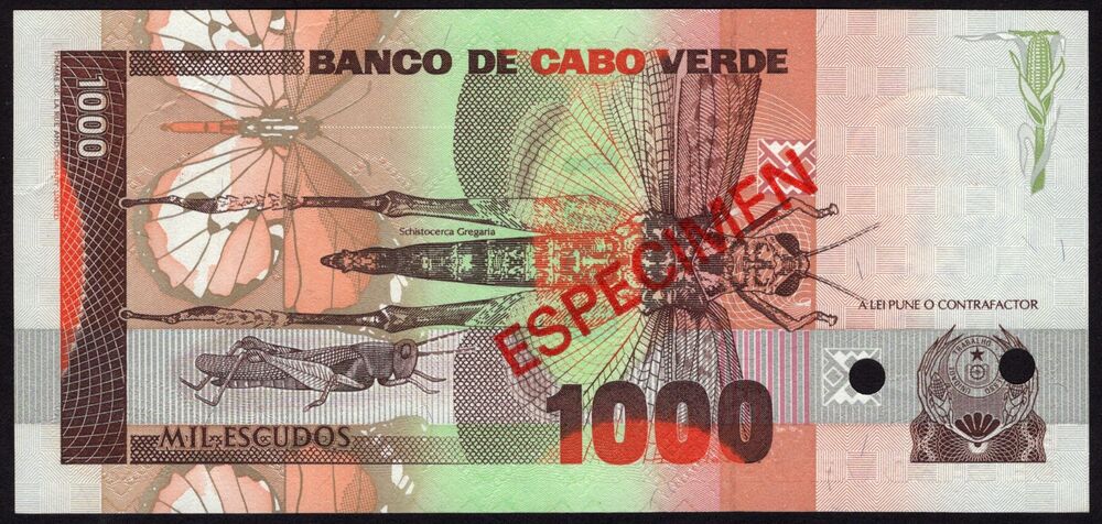 Cape Verde - 1000 Escudos 1989 - Pick # 60s - Specimen - AU