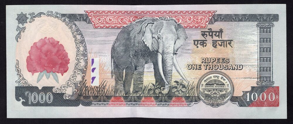 Nepal - 1000 Rupees 2008 - Pick # 67 - UNC