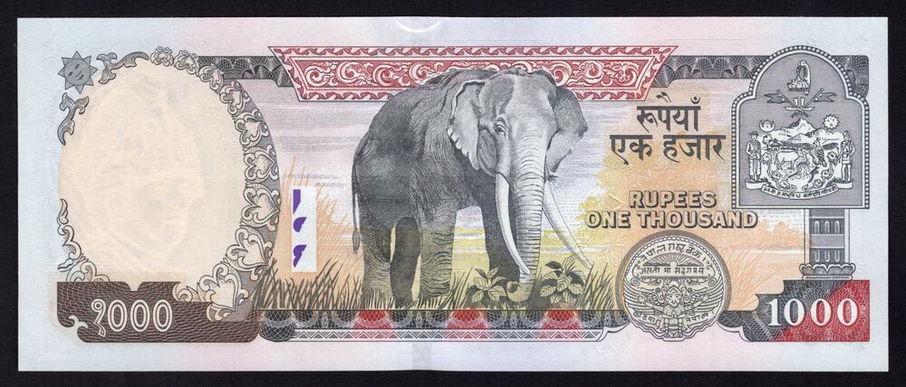Nepal - 1000 Rupees 2002/05 - Pick # 51 - UNC