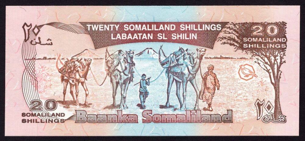 Somaliland - 20 Shillings 1996 - Pick # 10 - UNC